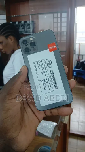 Apple iPhone 12 Pro 256 GB Gray