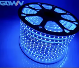 100m Led Strip Light( White Blue)