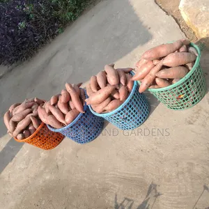 Orange Fleshed Sweet Potato Per Basket