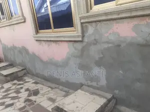 Painting and Rooms Designs , Walls Treatments Against Dampness and Etc