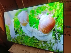 TCL 55inches Smart-Tv Great Addition to Any Home TCL Tv