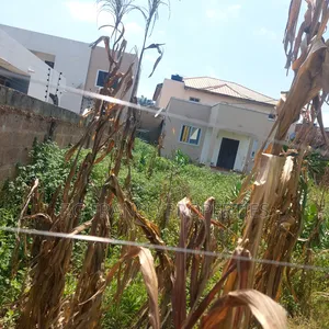 One Plot of Land for Sale at Community 17