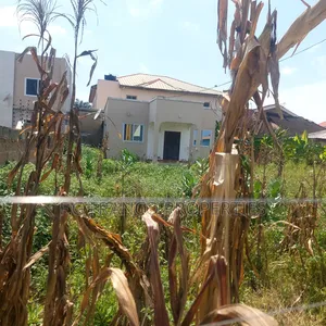 One Plot of Land for Sale at Community 17