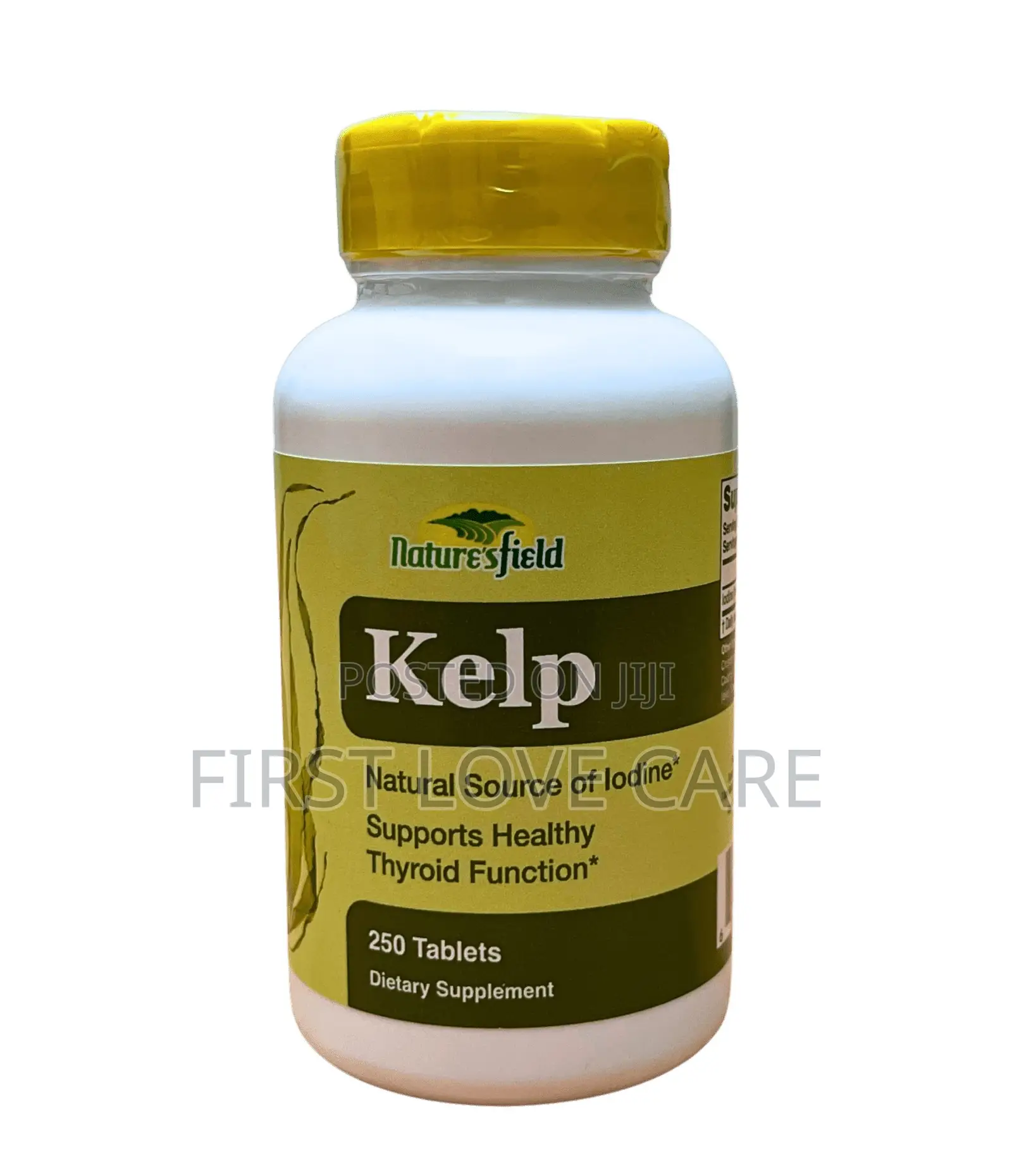 Natures Field Kelp