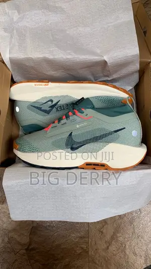 Nike Trail Gortex Runner