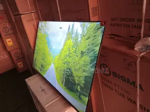 TCL 55” Smart Google Tv – Say It, Watch It