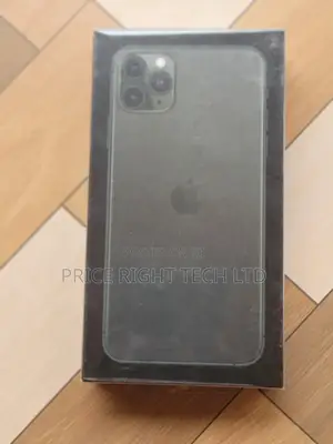 New Apple iPhone 11 Pro Max 256 GB Gray