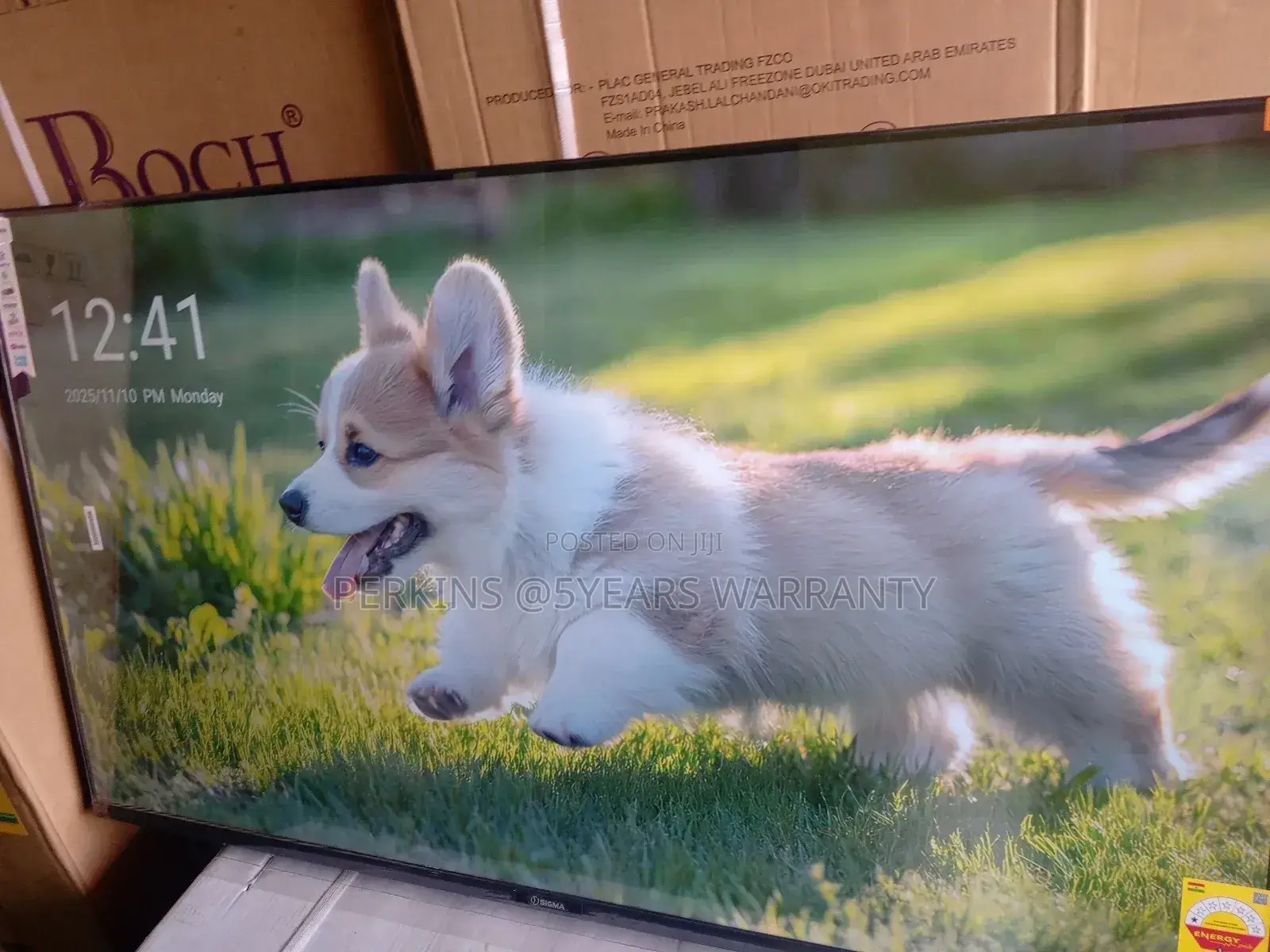 Sigma 55-Inch Smart Tv – Smart, Sleek, and Stunning Pictures Sigma Tv