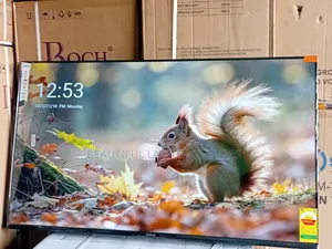 Breathtaking 55-Inch Smart Tv With Slim Frame and Powerful Tv