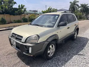 Hyundai Tucson 2005 Gray