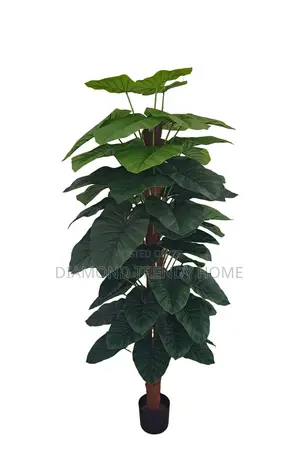 Artificial Plants