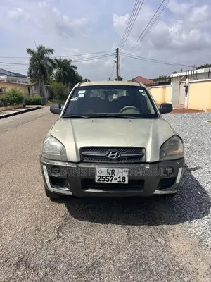 Hyundai Tucson 2005 Gray