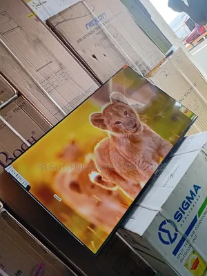 Wonderful 55-Inch Smart Television Superior Sound Quality