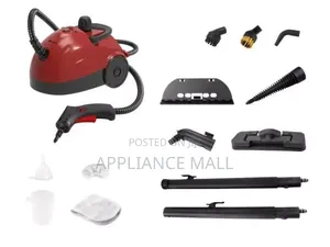 Steam Cleaner (Spain)