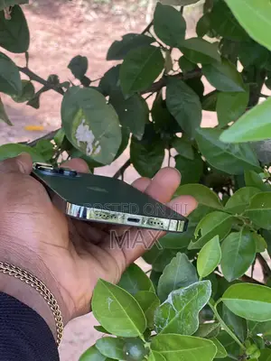 Apple iPhone 13 Pro Max 512 GB Green