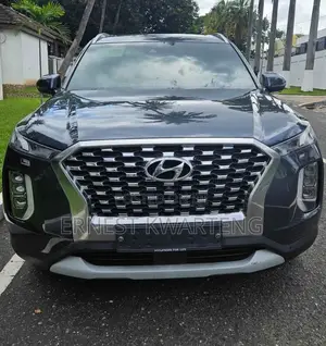 Hyundai Palisade 2019 Blue