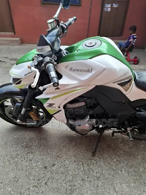 Kawasaki 2019 White