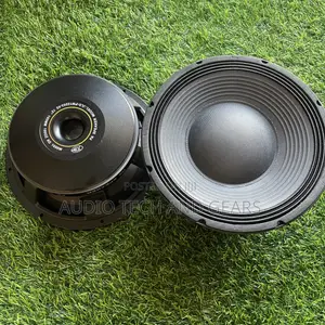 JLD 12 Inches 1600watts Double Magnet Naked Speaker