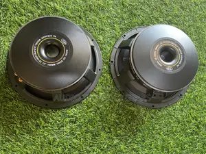 JLD 12 Inches 1600watts Double Magnet Naked Speaker