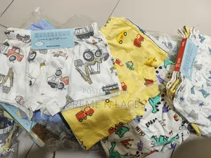 Boys Boxers 2 to 12 Years