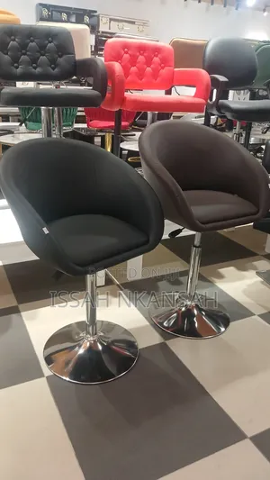 Salon Chair