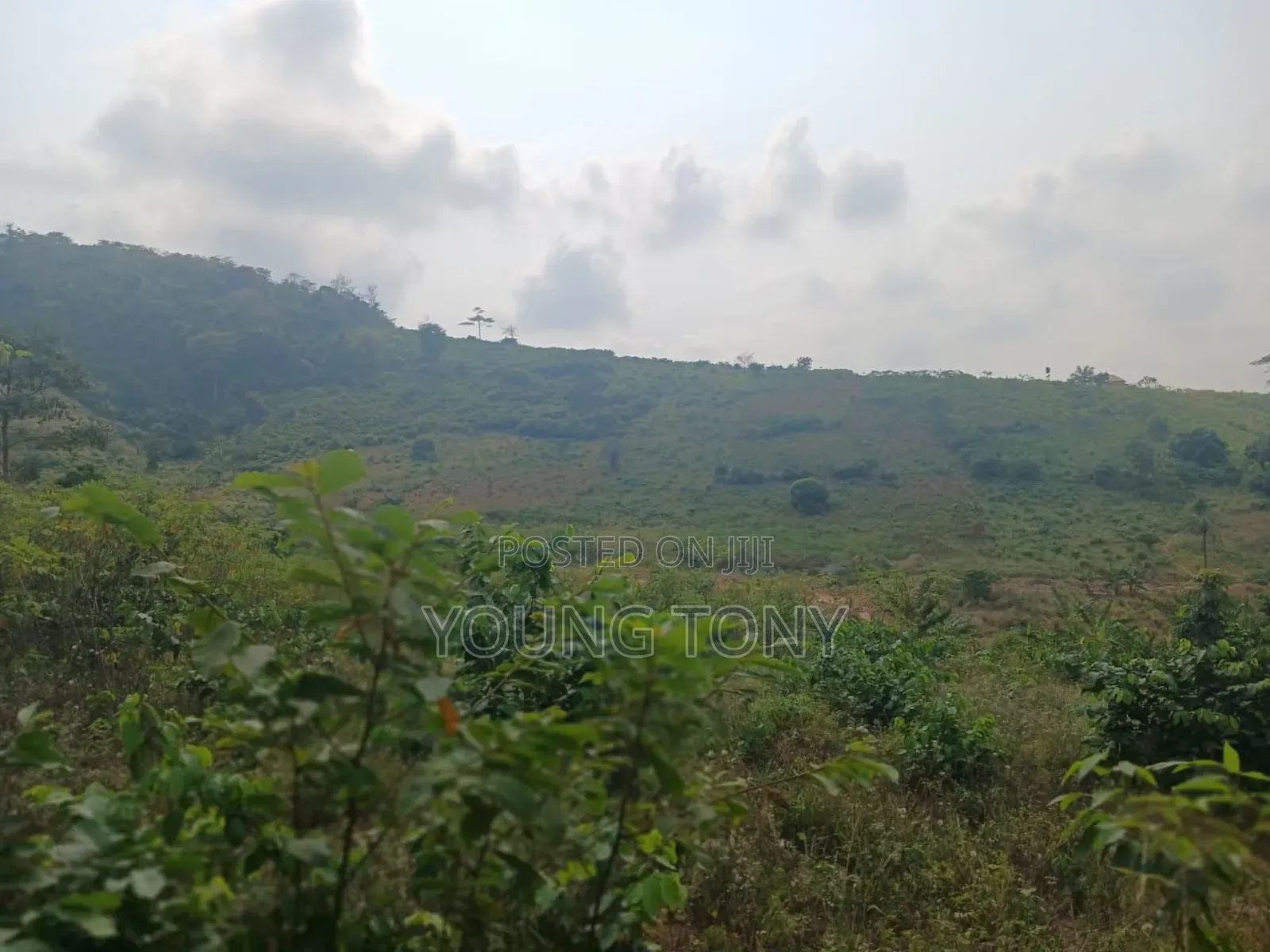 Registered Land for Sale