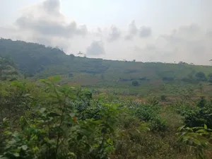 Registered Land for Sale