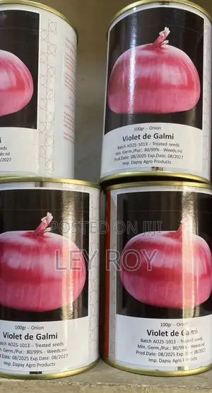 Onion Pv (Violet De Galmi)