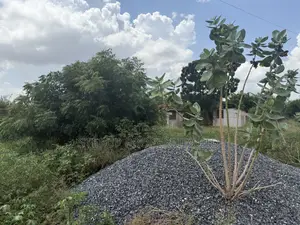 70/100 Plots of Land Selling at East Legon Hills