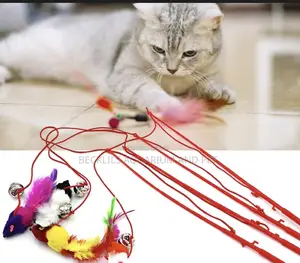 Feature Teaser Play Toy For Cat