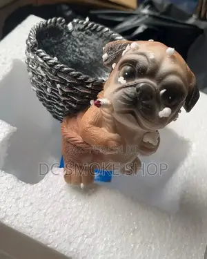 Ash Tray for Smoking Ashes