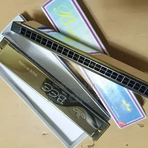 Harmonica/Mouth Organ