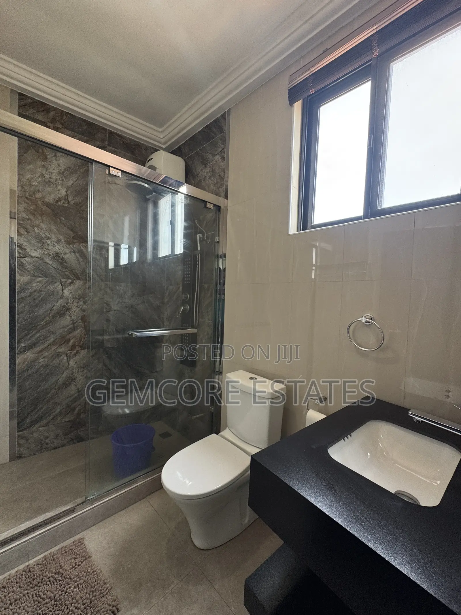 Furnished 1bdrm Apartment in East Legon for rent