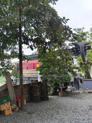 Yalesha Borehole Services - Pokrom Nsaba, Aburi