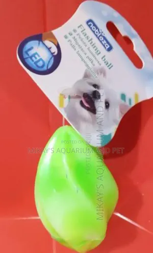 Dog Rubber Play Toy