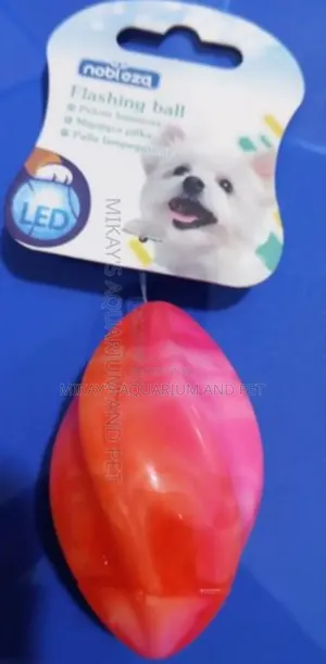 Dog Rubber Play Toy