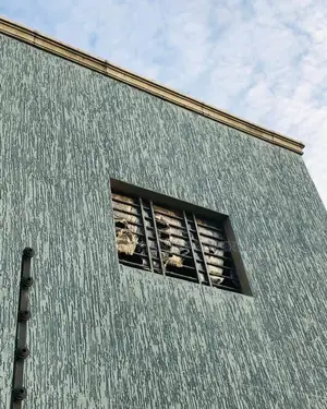 Water Resistance Graffito