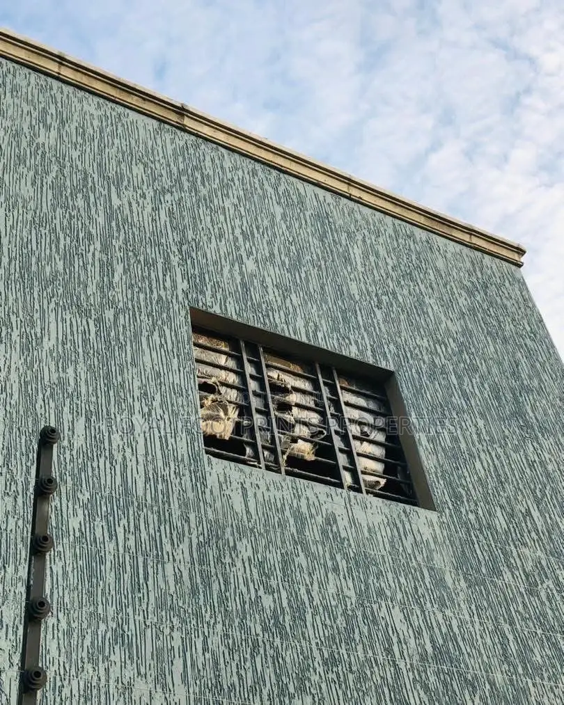 Water Resistance Graffito