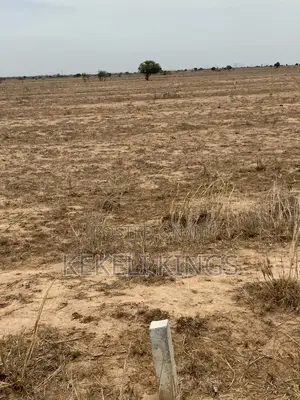 Urban City [Dawa] Well Demarcated Lands. For Sale