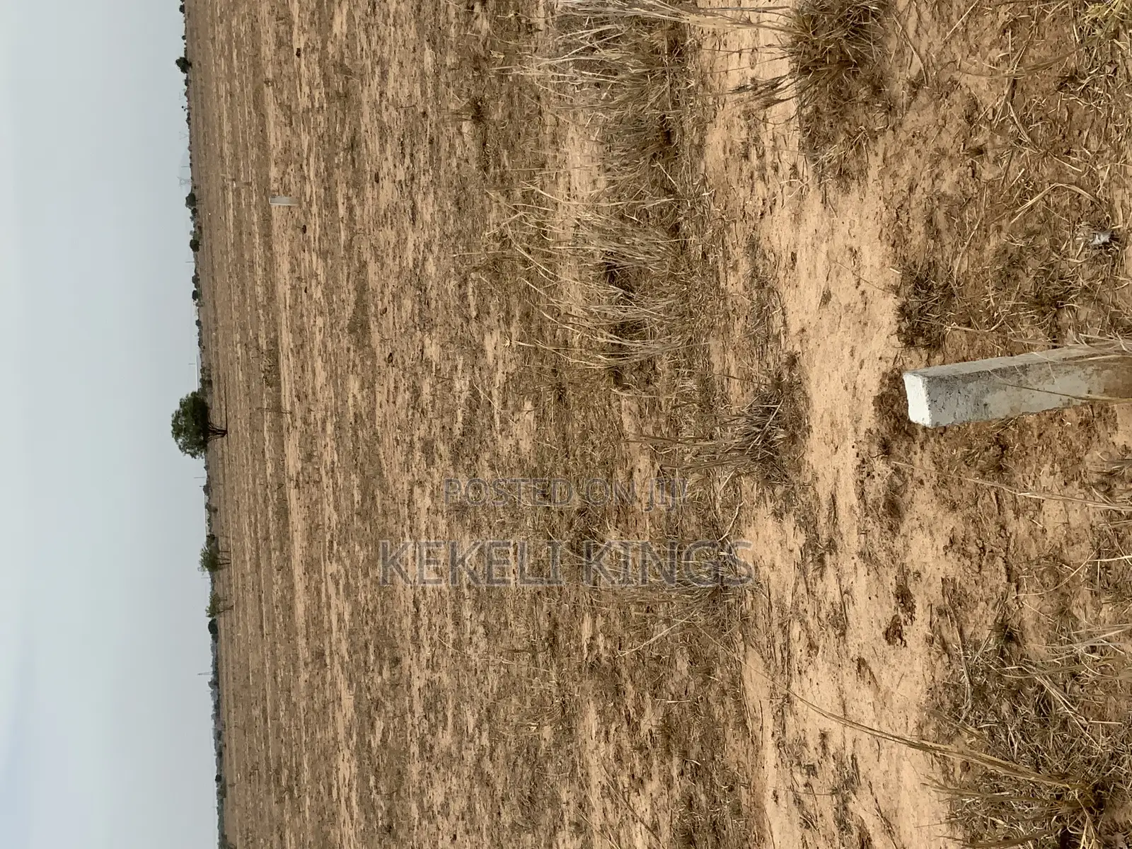 Urban City [Dawa] Well Demarcated Lands. For Sale