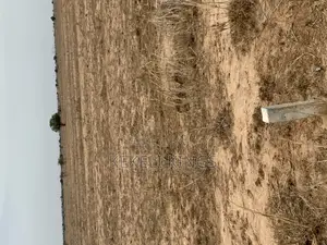 Urban City [Dawa] Well Demarcated Lands. For Sale
