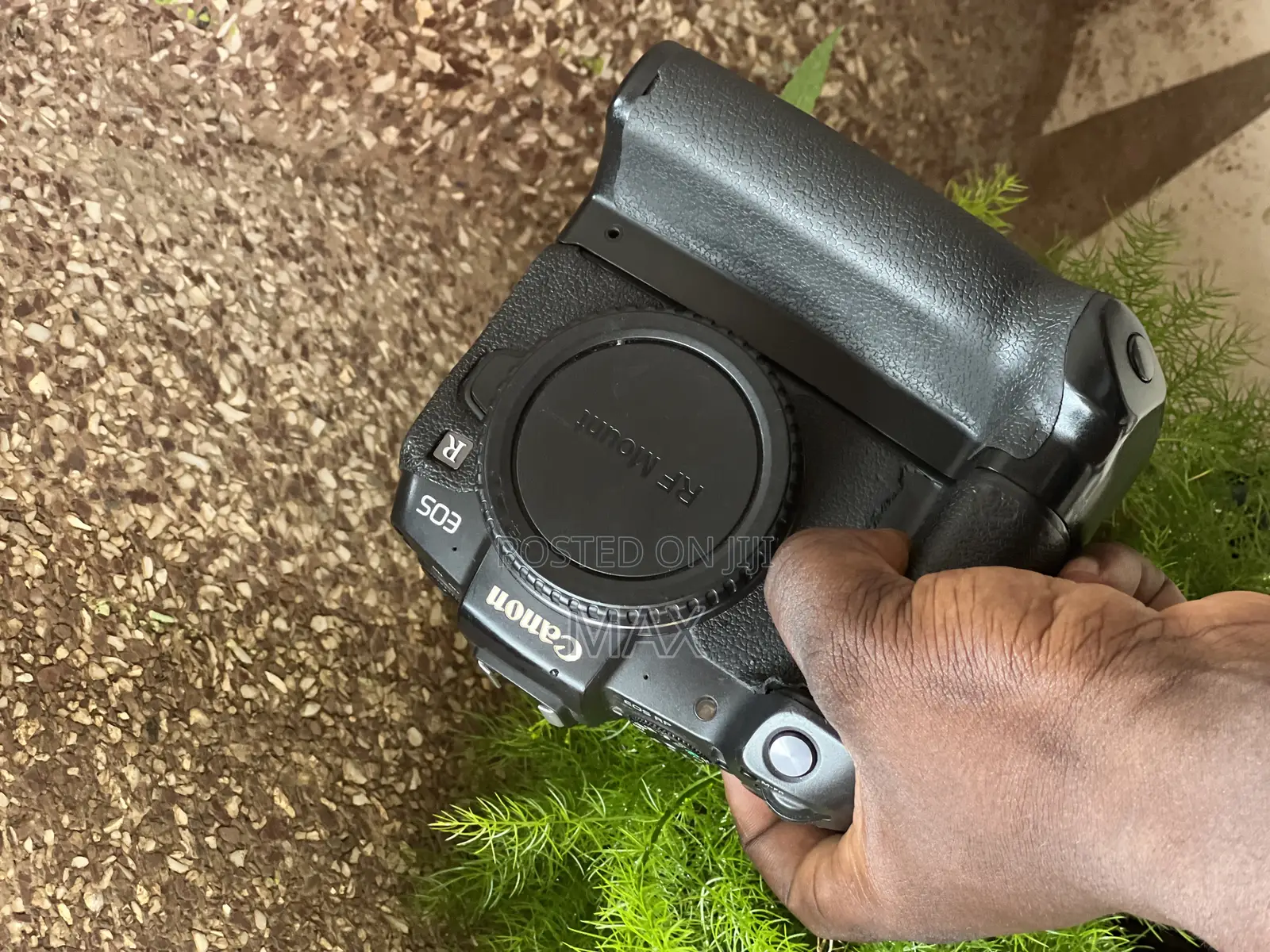 Canon Eos Rp(Body)With 3 Batteries,Battery Grip,And 2-Way Dual Charger