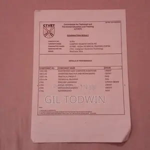 Accounting Finance CV