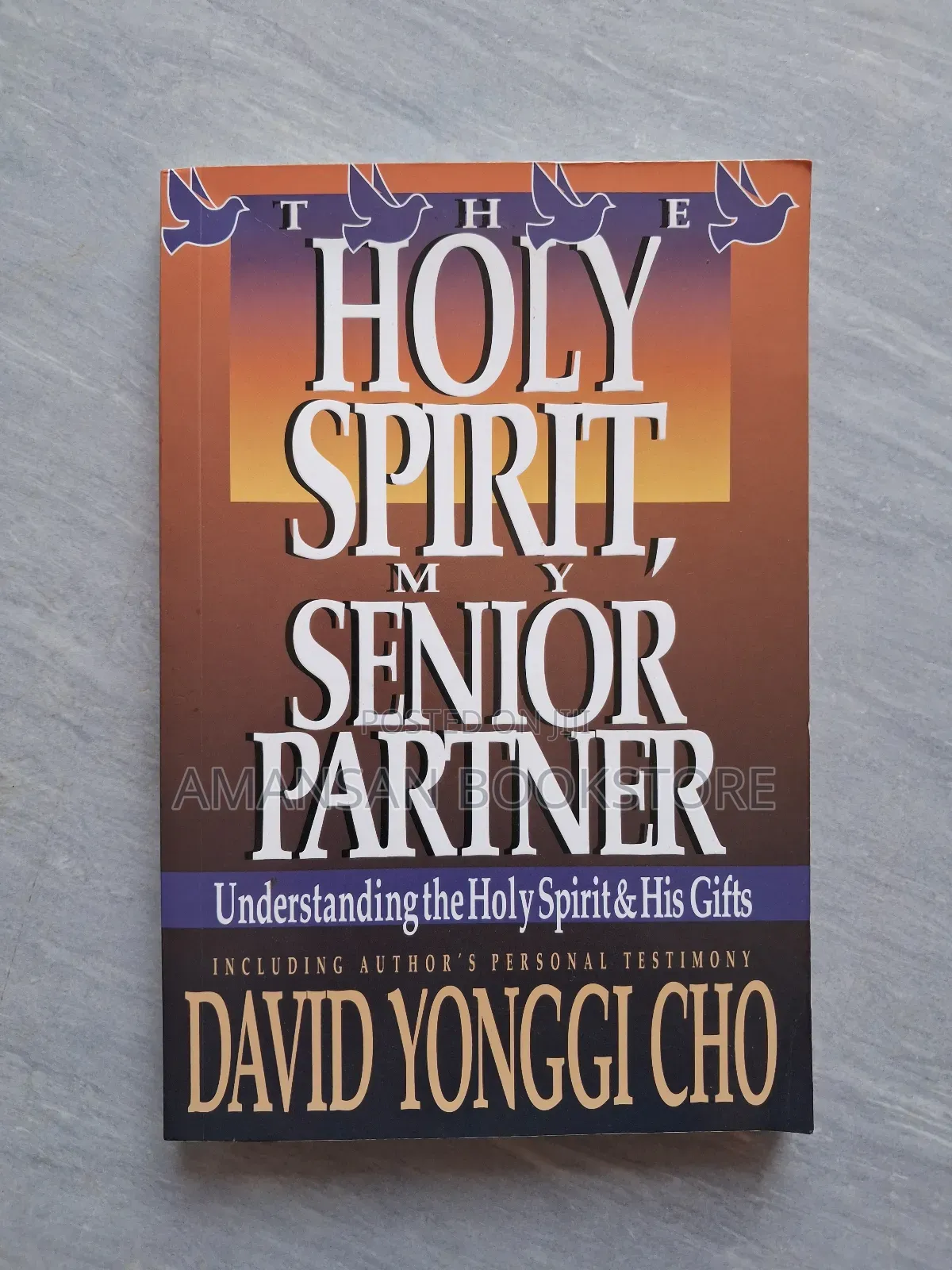 The Holy Spirit, My Senior Partner