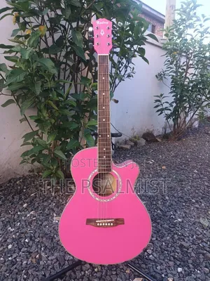 Monterey Ma 15pk Acoustic Guitar