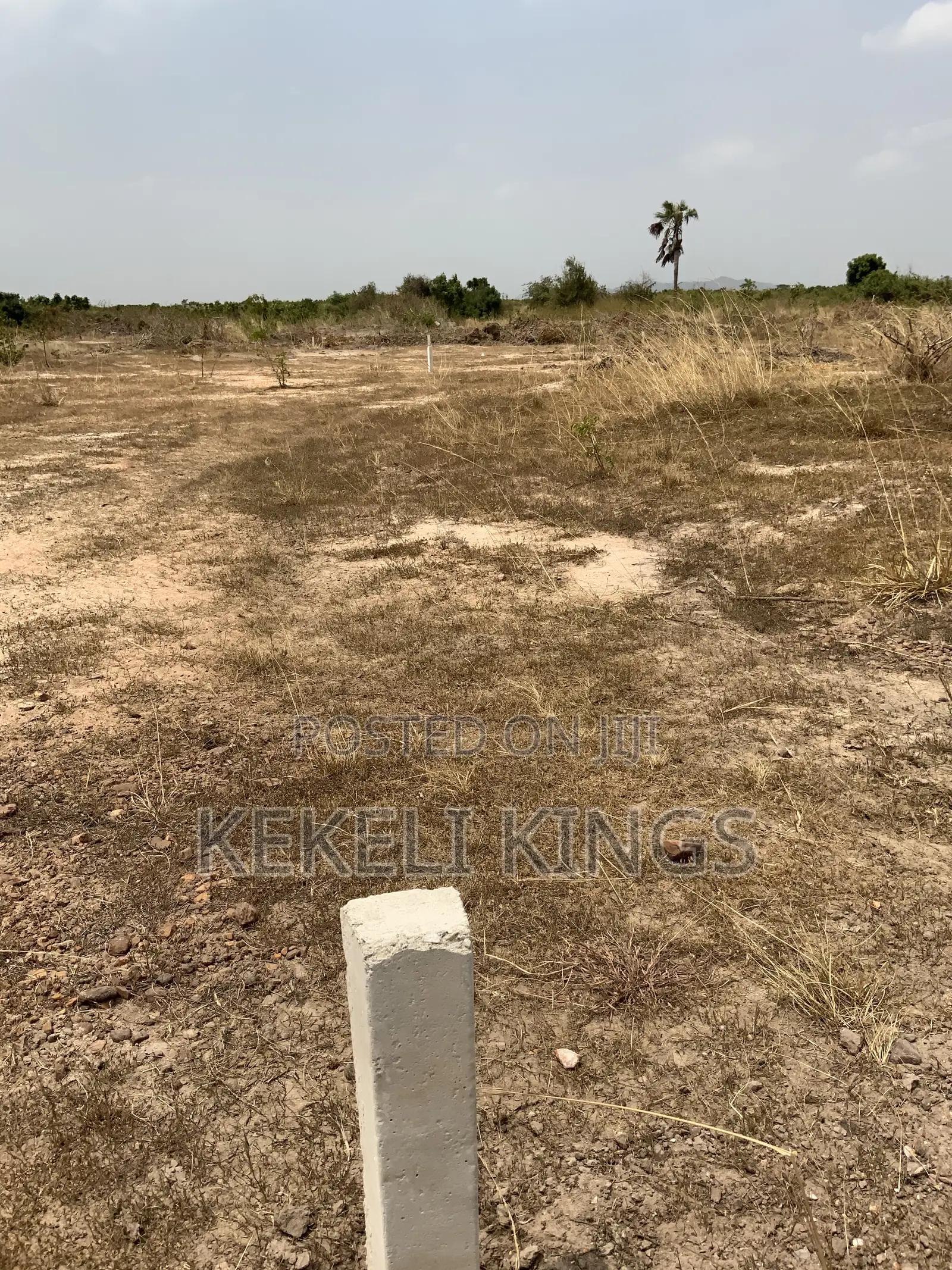 X'mas Promotion!! Dawa Lands for Sale-No Legal Issues