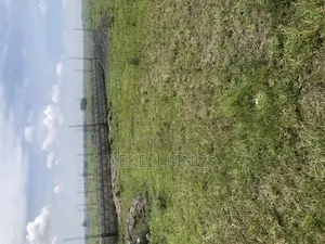 Prampram-Akwaaba Park Estate Lands . For Sale . Plots Are Available