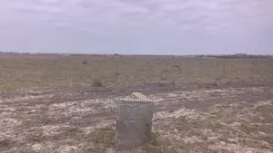 Prampram (City Square) Naturally Level Lands Available