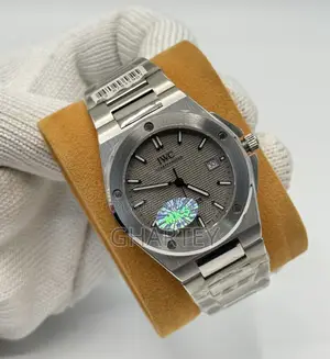 Iwc Ingenieur Automatic Ruthenium Dial – Steel Icon