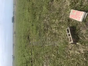 Prampram-Akwaaba Park.Litigation-free Lands, Fast Selling